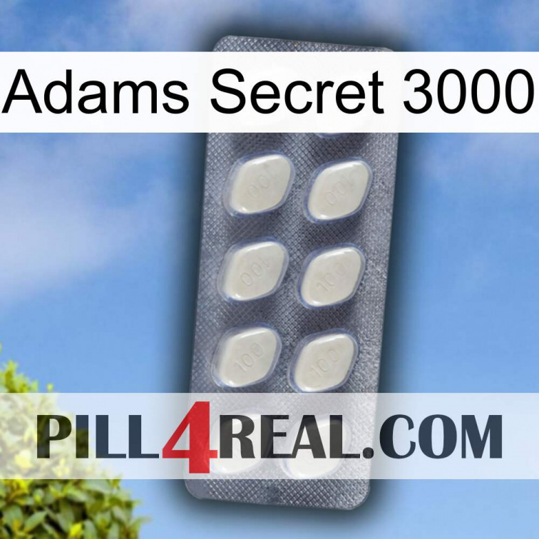Adams Secret 3000 08